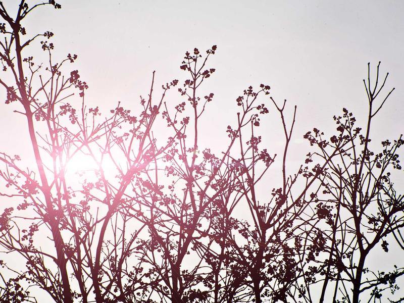 sudoku brain exercise screenshot 4