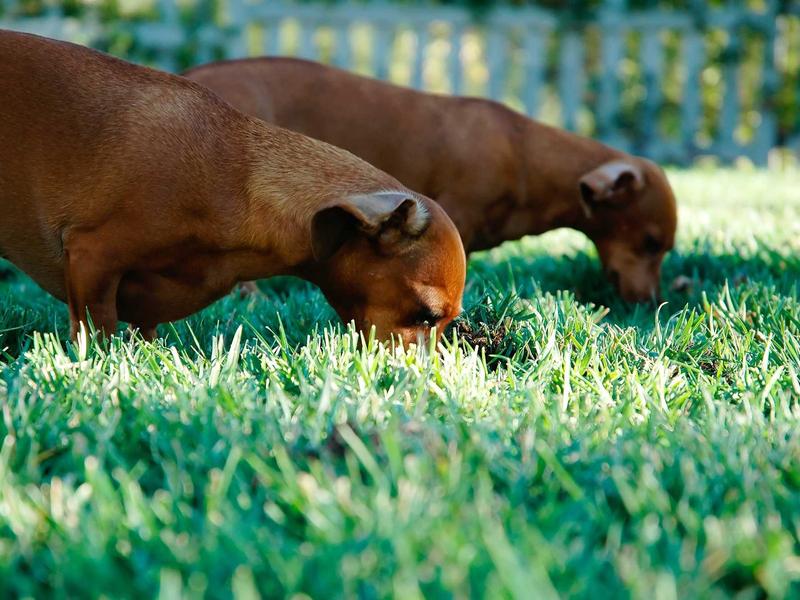 sudoku brain exercise screenshot 2