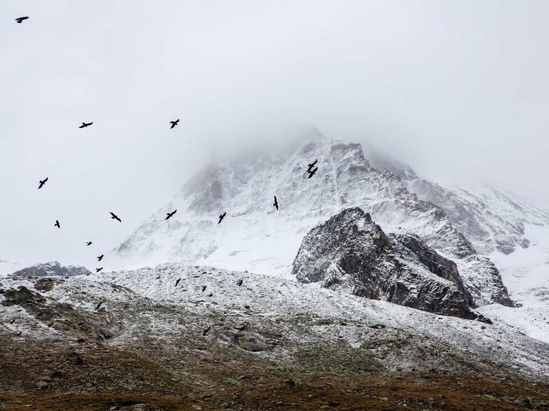 feedback screenshot 6